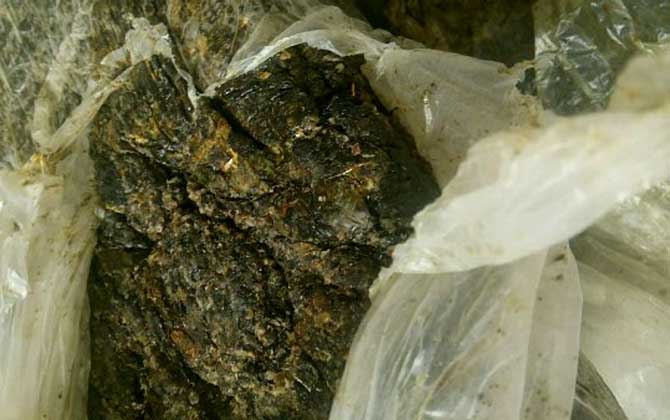 蜂膠有哪些副作用與禁忌? 蜂膠