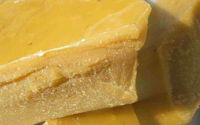 蜂蠟的功效與作用及食用方法 蜂蠟