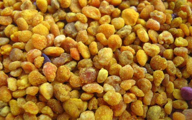 蜂花粉的作用與功效及食用方法 蜂花粉