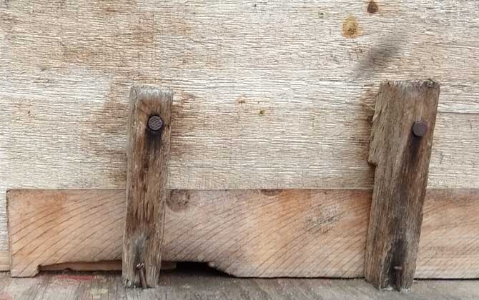 中蜂雙王群高效養殖技術 中蜂雙王群