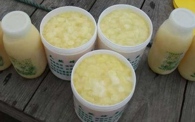 女人長期吃蜂王漿的好處,不但能美容養(yǎng)顏,還能延緩衰老速度! 蜂王漿