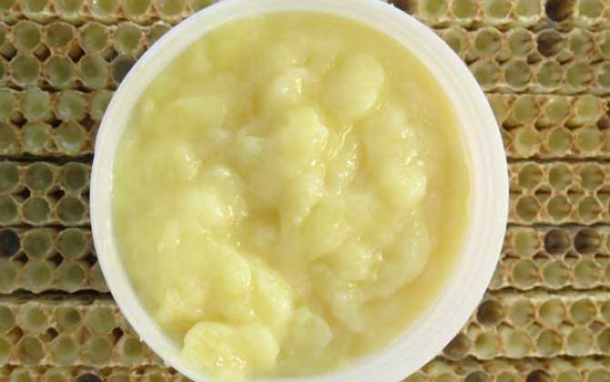 女人長期吃蜂王漿的好處,不但能美容養(yǎng)顏,還能延緩衰老速度! 蜂王漿