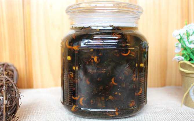 虎頭蜂酒真的能壯陽嗎?有一定的輔助效果,但飲用不當易中毒! 虎頭蜂酒