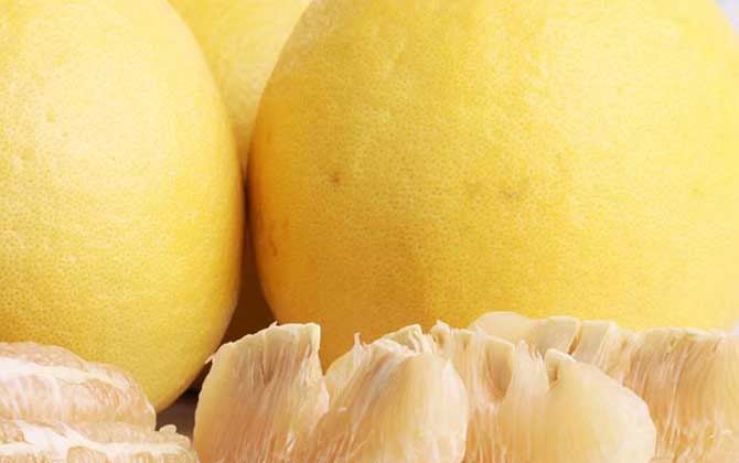 自制蜂蜜柚子茶怎么做?只需5步就能做好,既簡單又好喝! 蜂蜜柚子茶