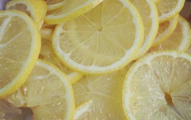 蜂蜜檸檬水的禁忌有哪些?不但喝法要正確,更要注意禁忌人群! 蜂蜜檸檬水