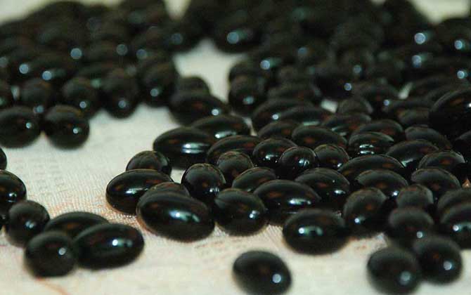 澳洲蜂膠都是假的怎么回事?多數是進口蜂膠,甚至是假蜂膠! 蜂膠