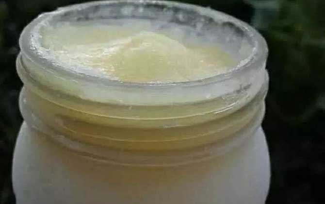 蜂王漿的副作用與禁忌,絕對不能過量食用,這4類人也要少吃! 蜂王漿