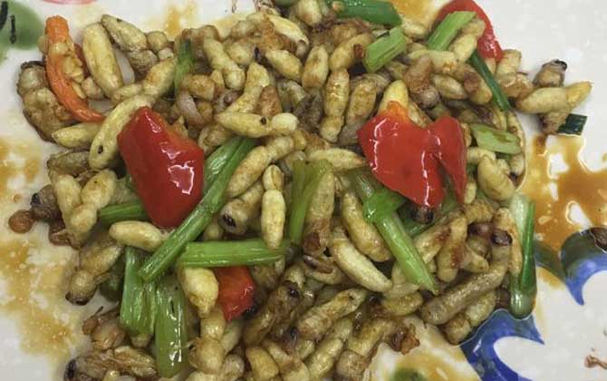 蜂蛹吃了有什么好處?不但能增強體質,還有美容養顏的效果! 蜂蛹