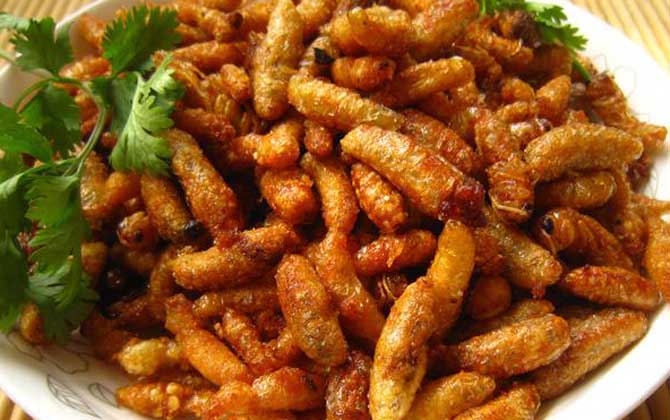 蜂蛹不能和什么一起吃?不存在食物相克,但要避免發(fā)生過敏! 蜂蛹