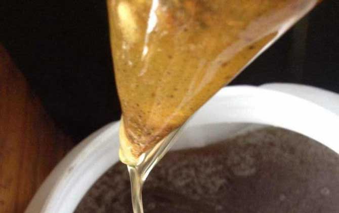 中國四大名蜜是哪四種? 荔枝蜜