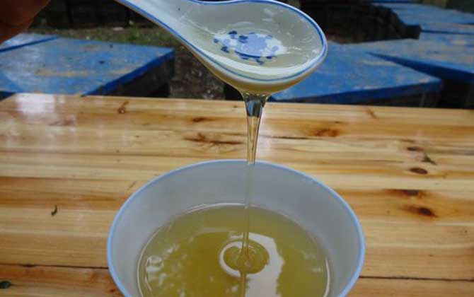 桔梗蜜的作用與功效及食用方法 桔梗蜜