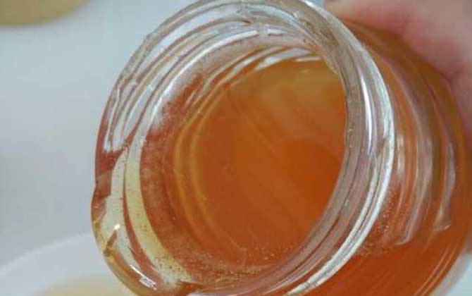 蒲公英蜜的作用與功效及食用方法 蒲公英蜜