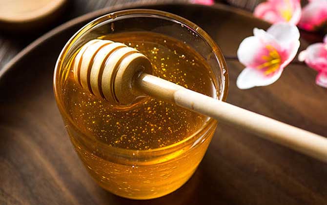 蒲公英蜜的作用與功效及食用方法 蒲公英蜜