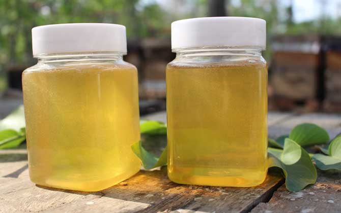 桐花蜜的作用與功效及食用方法 桐花蜜