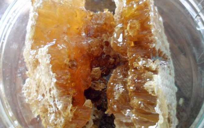 純野生蜂蜜200元一斤貴嗎? 野生蜂蜜