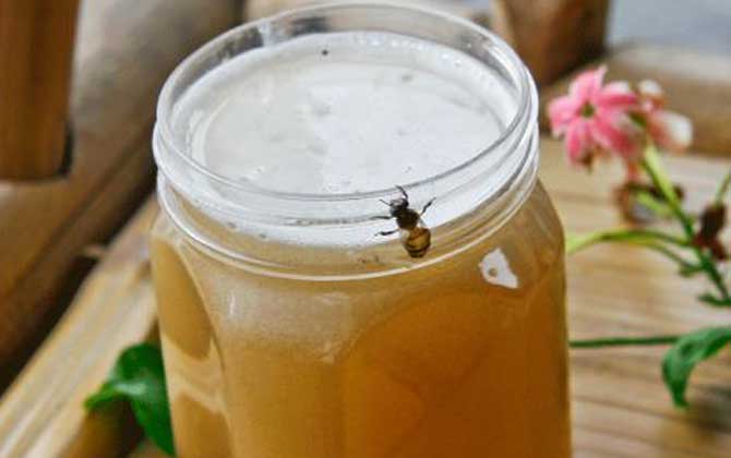 荔枝蜜價(jià)格多少錢一斤? 荔枝蜜