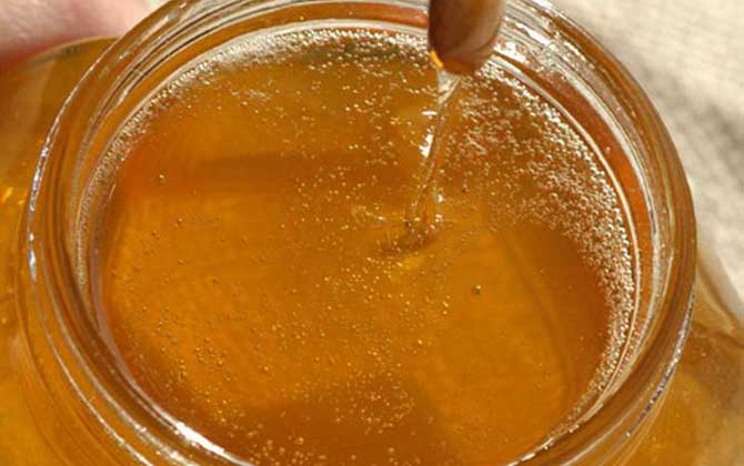 荔枝蜜價(jià)格多少錢一斤? 荔枝蜜