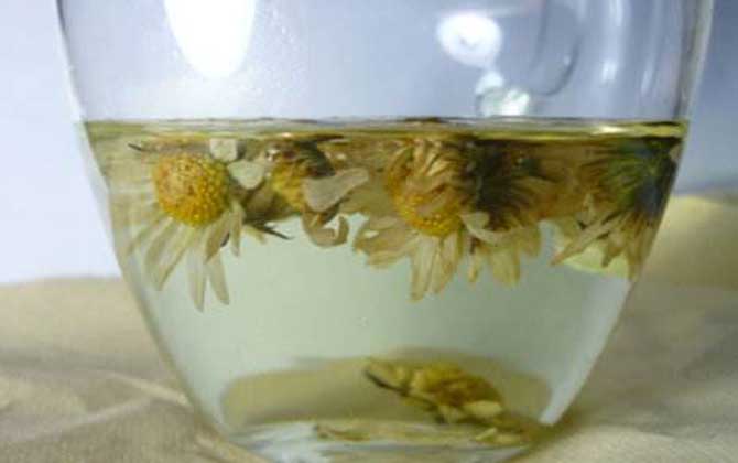 蜂蜜菊花茶的功效及簡單做法 蜂蜜菊花茶