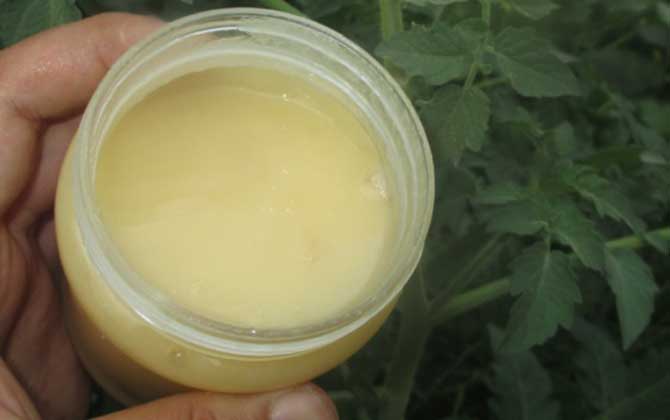 蜂蜜和什么可以美白祛斑? 蜂蜜