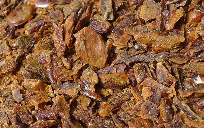 蜂膠的功效與作用及食用方法 蜂膠