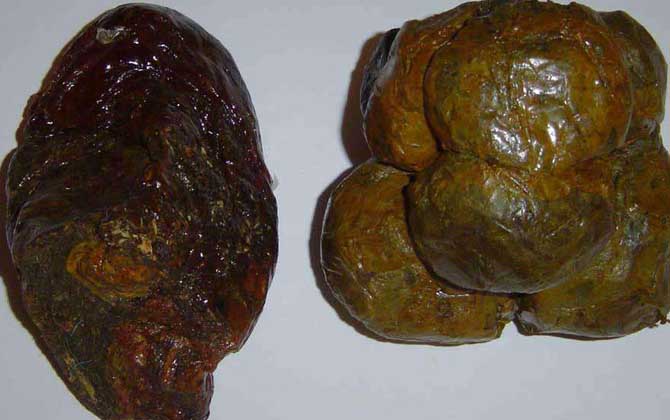 假蜂膠是怎么做出來的? 蜂膠