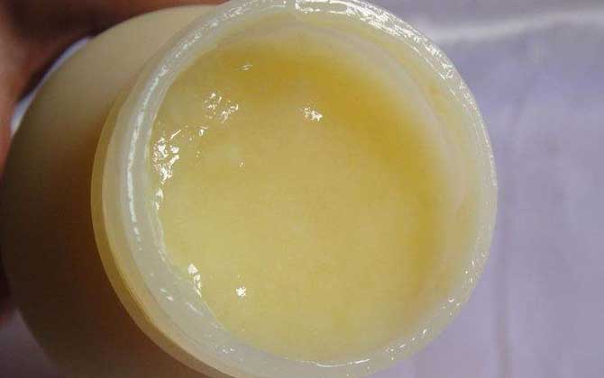 蜂王漿能提高性功能嗎? 蜂王漿