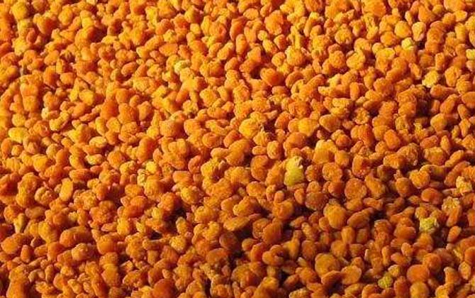 去黃褐斑吃哪種花粉最好? 棗花粉