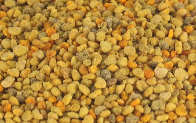 哪些人不適合吃蜂花粉? 蜂花粉