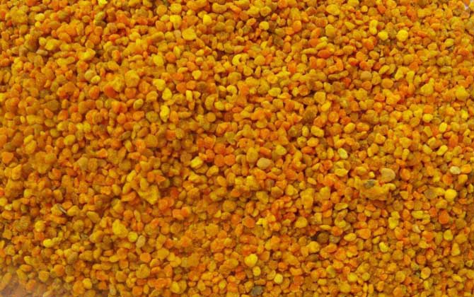 百花粉的功效與作用及食用方法 百花粉