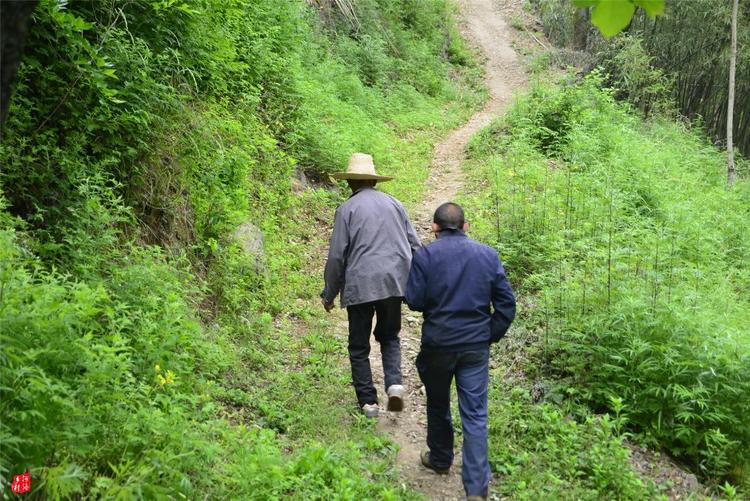 81歲老人養(yǎng)蜂半世紀(jì)，自創(chuàng)多種養(yǎng)蜂工具，怕蜜蜂丟失樹下睡3個月