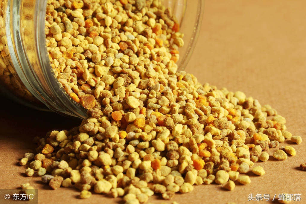 新手養(yǎng)中蜂，不破除這7個觀念，永遠(yuǎn)別想走上養(yǎng)蜂致富道路