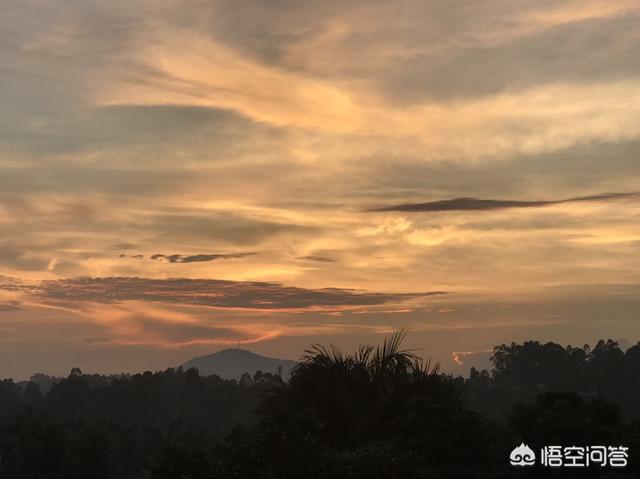 有沒(méi)有和別人合作養(yǎng)殖蜜蜂的項(xiàng)目(合作養(yǎng)蜂是真的嗎)