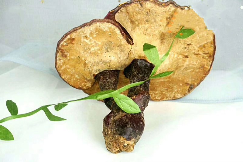 我國初級(jí)農(nóng)產(chǎn)品目錄(初級(jí)農(nóng)產(chǎn)品包括的范圍) 我國初級(jí)農(nóng)產(chǎn)品目錄(初級(jí)農(nóng)產(chǎn)品包括的范圍)