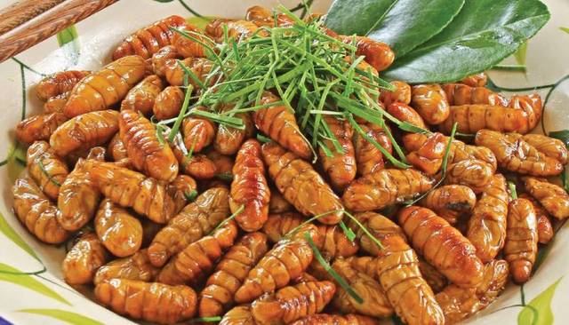 蜂蛹和蠶蛹有什么區(qū)別(蜂蛹和蠶蛹的營養(yǎng)價(jià)值一樣嗎) 蜂蛹和蠶蛹有什么區(qū)別(蜂蛹和蠶蛹的營養(yǎng)價(jià)值一樣嗎)