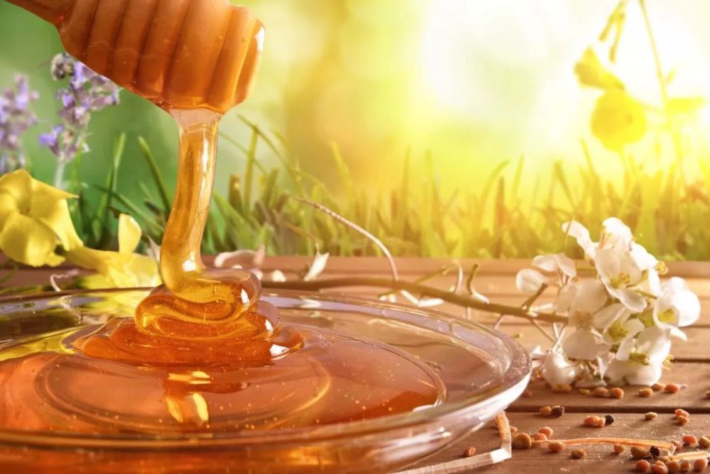 常見(jiàn)蜂蜜有多少種類(lèi)(附帶我國(guó)常見(jiàn)的24種蜂蜜) 常見(jiàn)蜂蜜有多少種類(lèi)(附帶我國(guó)常見(jiàn)的24種蜂蜜)