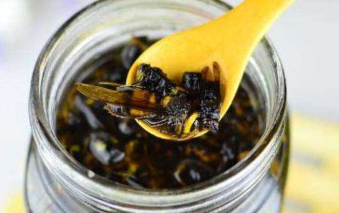 中國大虎頭蜂可以泡酒喝嗎（虎頭蜂酒的功效）