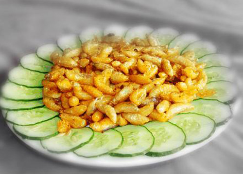 蜂蛹的吃法有哪些(蜜蜂蜂蛹怎么吃) 蜂蛹的吃法有哪些(蜜蜂蜂蛹怎么吃)