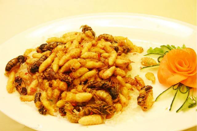 【蜂蛹禁忌】什么人不能吃蜂蛹 什么人不能吃蜂蛹