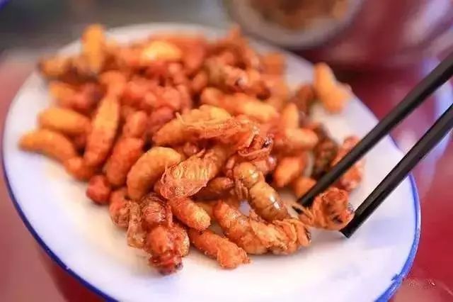 如何做蜂蛹干(蜂蛹好吃的做法竅門) 如何做蜂蛹干(蜂蛹好吃的做法竅門)