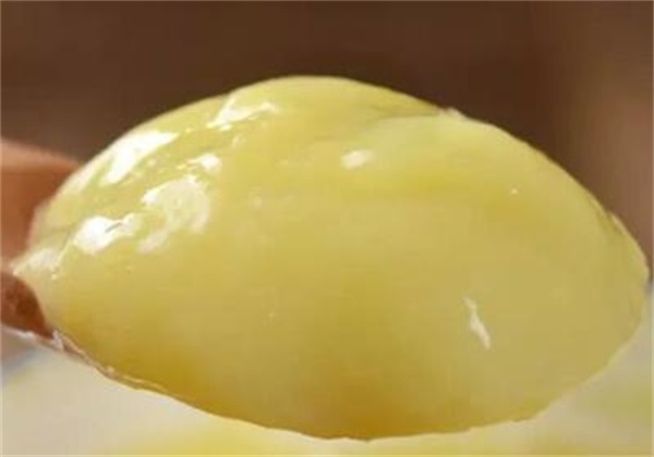 蜂王漿的味道怎么那么難吃(蜂王漿味道特難吃是不是壞了) 蜂王漿的味道怎么那么難吃(蜂王漿味道特難吃是不是壞了)