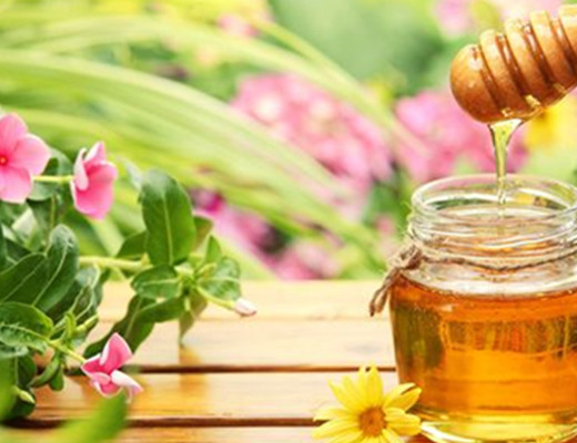 早春蜜蜂進粉是蜂王產卵了嗎(蜜蜂大量采粉說明什么) 早春蜜蜂進粉是蜂王產卵了嗎(蜜蜂大量采粉說明什么)