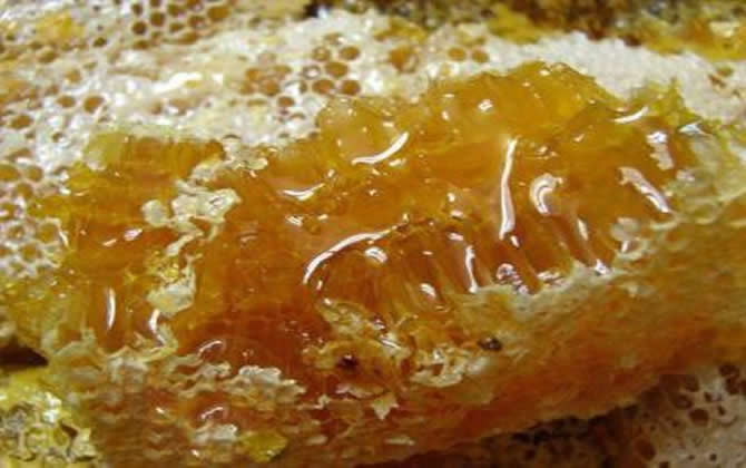 土蜂蜜市場價(jià)格 土蜂蜜市場價(jià)格