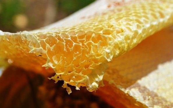 野蜂蜜價(jià)格多少錢一斤(各地正宗野蜂蜜的市場價(jià)格) 野蜂蜜價(jià)格多少錢一斤(各地正宗野蜂蜜的市場價(jià)格)