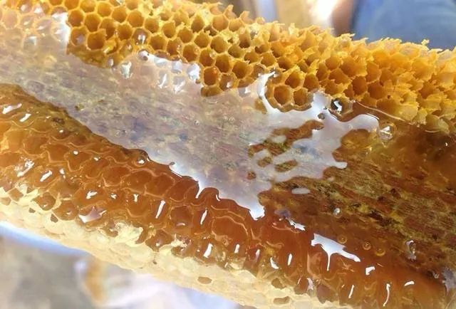 野蜂蜜價(jià)格多少錢一斤(各地正宗野蜂蜜的市場價(jià)格) 野蜂蜜價(jià)格多少錢一斤(各地正宗野蜂蜜的市場價(jià)格)