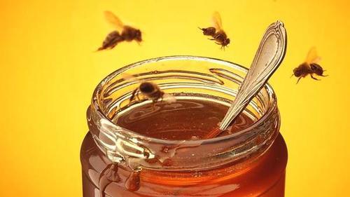 成熟蜂蜜為什么還有氣泡(蜂蜜里有氣泡) 成熟蜂蜜為什么還有氣泡(蜂蜜里有氣泡)