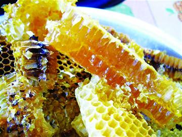 純正土蜂蜜多少錢(qián)一斤(正宗優(yōu)質(zhì)土蜂蜜價(jià)格) 純正土蜂蜜多少錢(qián)一斤(正宗優(yōu)質(zhì)土蜂蜜價(jià)格)