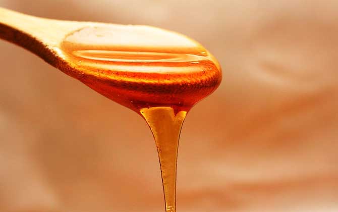 酸蜂蜜和普通蜂蜜的對比(酸蜂蜜比普通蜂蜜好嗎) 酸蜂蜜和普通蜂蜜的對比(酸蜂蜜比普通蜂蜜好嗎)