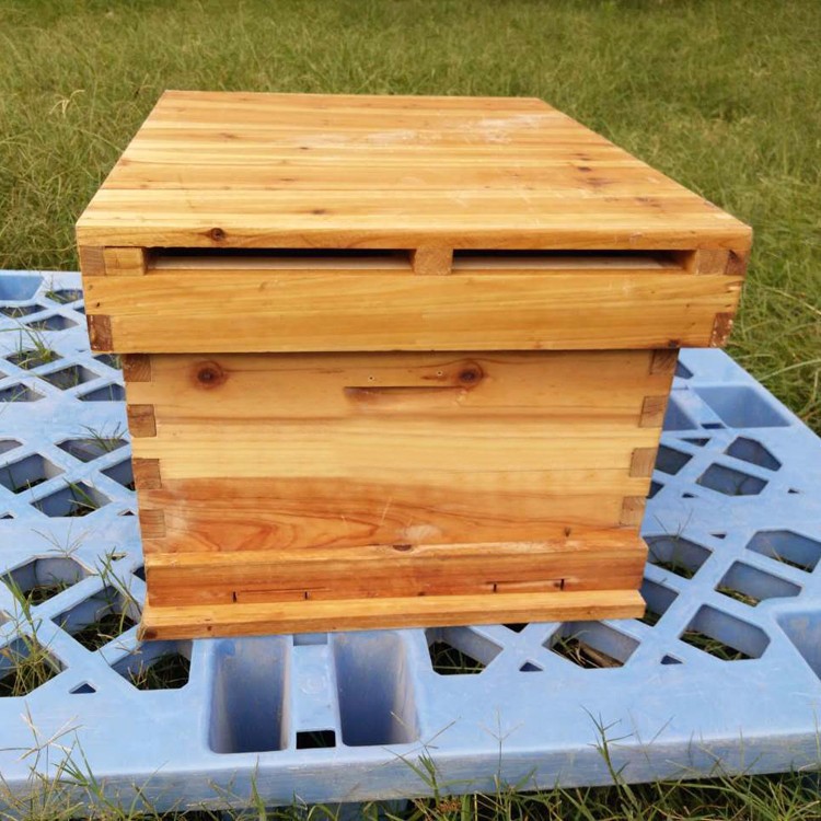 養(yǎng)蜂王的地址怎么選擇(蜜蜂人工育王的時(shí)間) 養(yǎng)蜂王的地址怎么選擇(蜜蜂人工育王的時(shí)間)