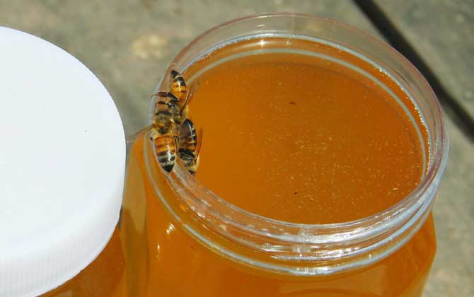 柑橘蜜的價格(正宗柑橘蜜價格多少錢一斤) 柑橘蜜的價格(正宗柑橘蜜價格多少錢一斤)