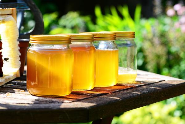 蜜蜂群中為什么會(huì)有黑蜜蜂出現(xiàn)（什么是黑蜂）